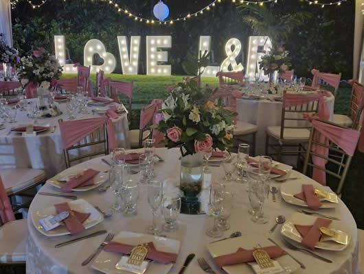 tematicas para quince años en bogota